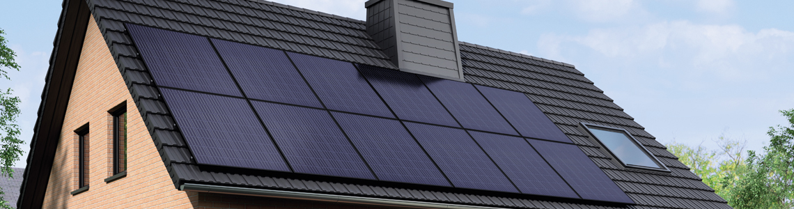 Солнечные панели Viessmann Vitovolt 300